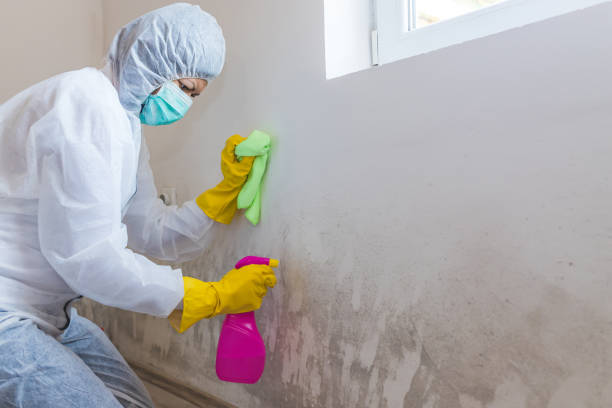 Best Residential Mold Inspection & Testing  in Genoa, AR